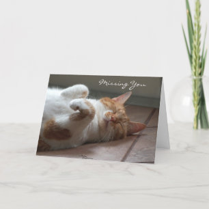 Cartão Sente falta do cartão-cama de gato bonito