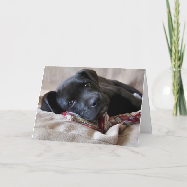 Cartão Sente Sua Falta! (Frente)