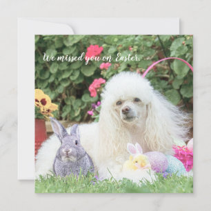 Cartão Sente sua falta na carta de Páscoa do cachorro