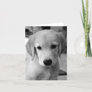 Cartão Sentido Sua Falta