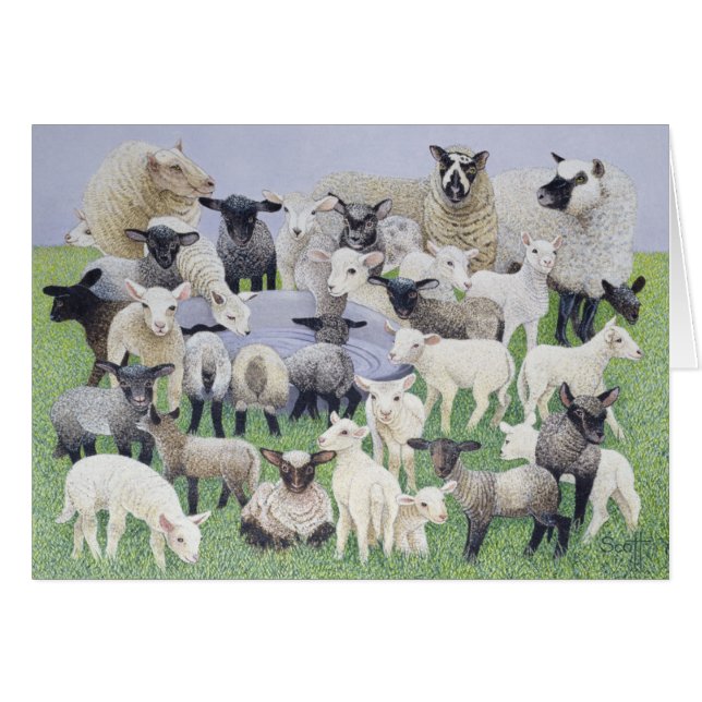 Cartão Sentimento acanhado (Frente Horizontal)