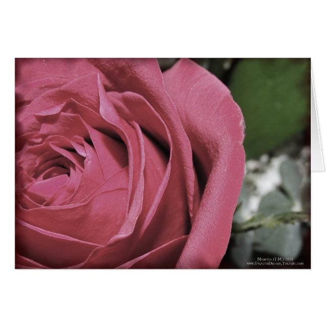 Cartão Sentimentos Delicados (Frente Horizontal)