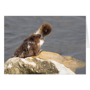 Cartão Sentir-Se Ducky - Ducker Ficar Bem