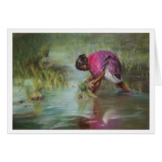 Cartão Separando os pacotes do arroz (Frente Horizontal)