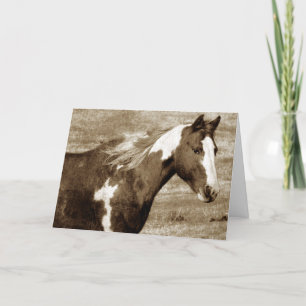 Cartão Sepia Flashy Mare Birthday