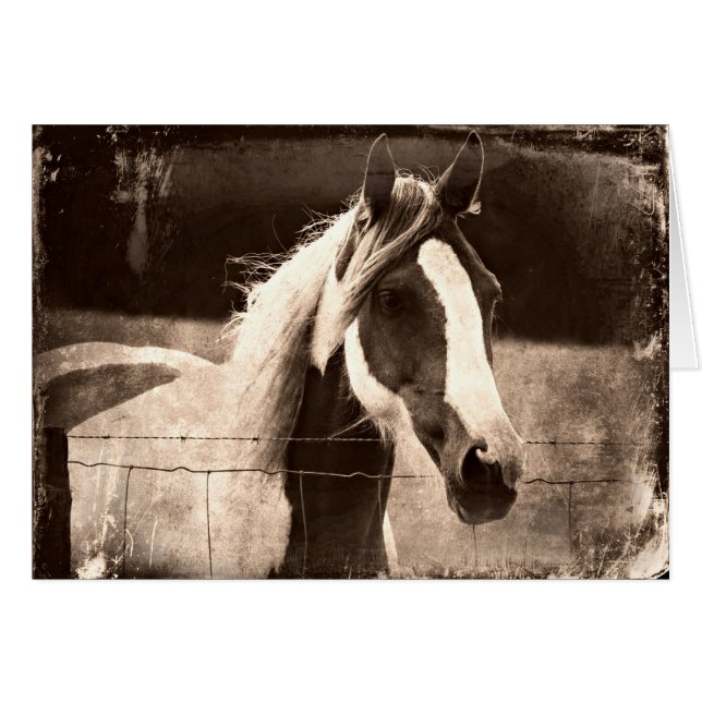 Cartão Sepia Pinto (Frente Horizontal)