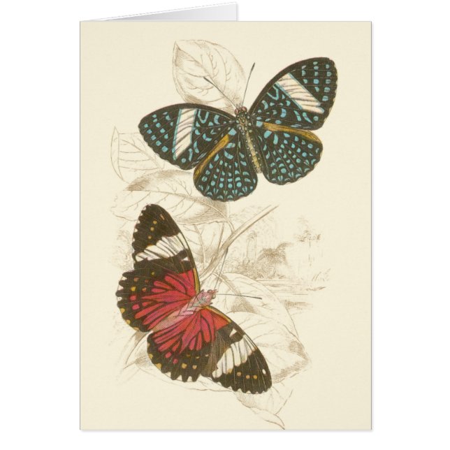 Cartão Sepia sai com borboletas coloridas (Frente)