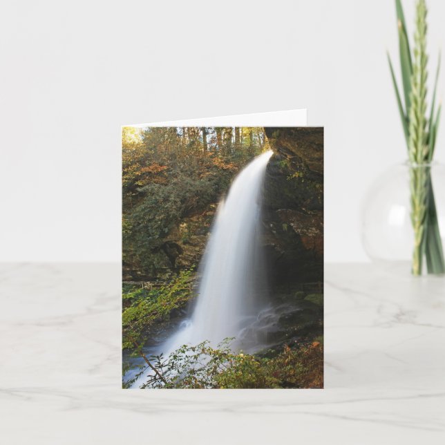 Cartão Seque quedas (Frente)