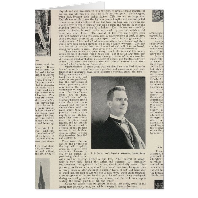 Cartão Sequoia de Sonoma, Califórnia (Frente)