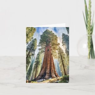 Cartão Sequoia National Park California Watercolor