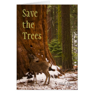 Cartão Sequoia, Salve as Cartas de Árvores