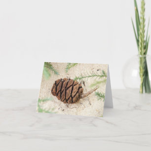 Cartão Sequoia Tree Cone em Sandy Ground