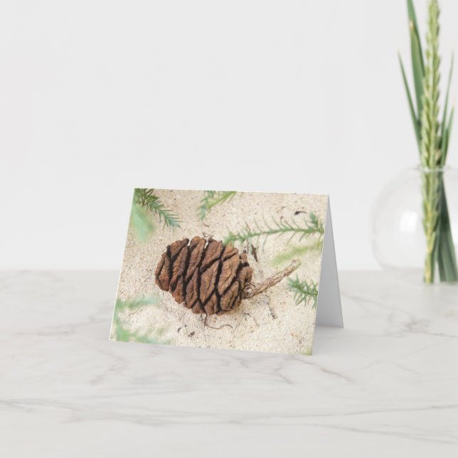 Cartão Sequoia Tree Cone em Sandy Ground (Frente)