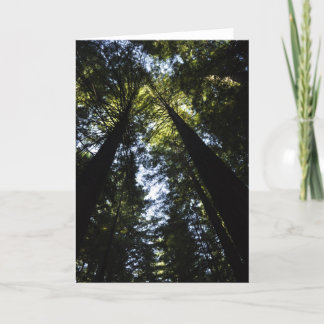 Cartão Sequoias