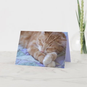 Cartão Ser doente é uma porcaria