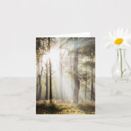 Cartão Serene Sunlit Forest