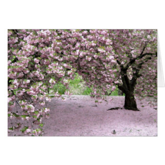 Cartão Serenidade Pastel