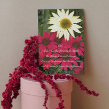 Serenity Prayer Coneflowers Vazio Floral