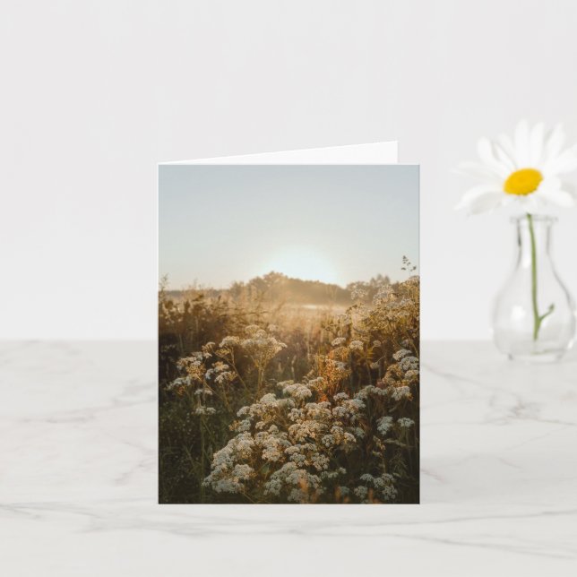 Cartão Sereno prado ao nascer do sol (Planta pequena)