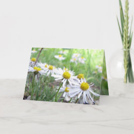 Cartão Série Alpina