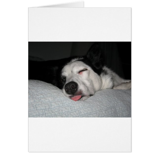 Cartão Série Beauty Rest (Frente)