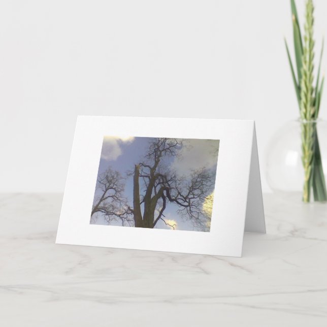 Cartão Série da árvore do céu (Frente)