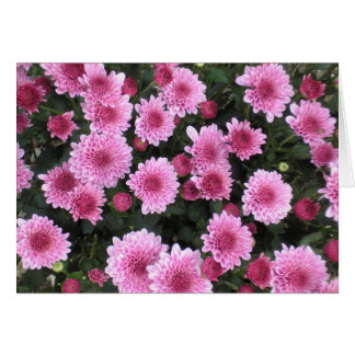 Cartão Série do buquê da natureza (primavera)