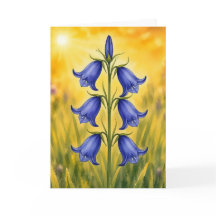 Série Pétala Radiante – BlueBell