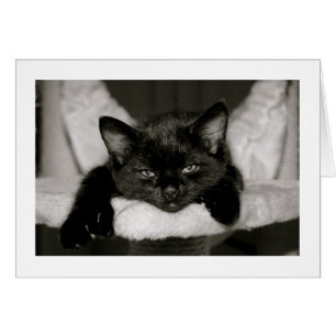 Cartão Sesta comigo