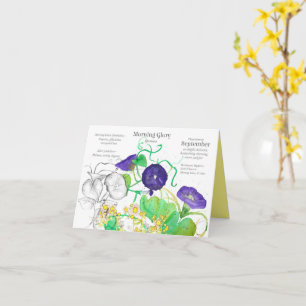 Cartão Setembro Aniversário da Manhã Glória Aster Mês de 