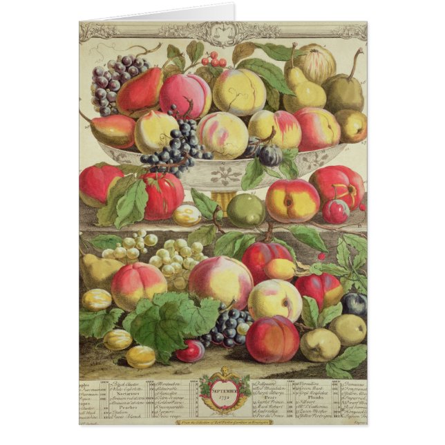 Cartão Setembro, 'de doze meses das frutas (Frente)
