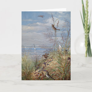 Cartão Setembro   Fidelia Bridges