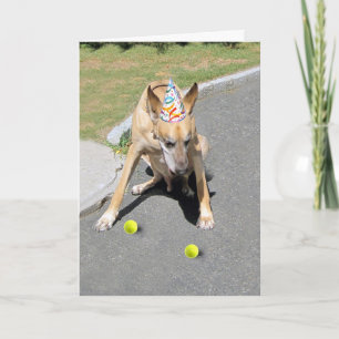 Cartão Seu Cachorro Velho