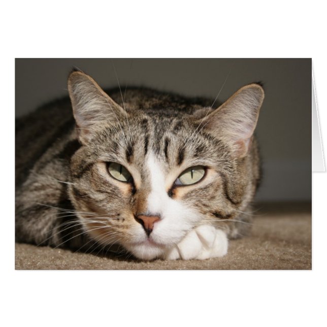 Cartão Seu nome é Ásia (Frente Horizontal)