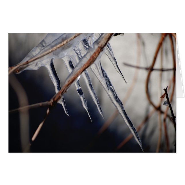 Cartão seu toque mordido (Frente Horizontal)