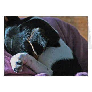 CARTÃO SEUS PENSAMENTOS