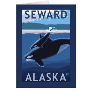 Cartão Seward, AlaskaOrca e cena da vitela