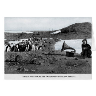 Cartão Shackleton no gramofone antárctico com pinguins