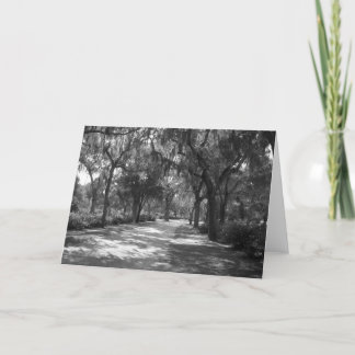 Cartão Shade 'quase Moss Espanhóis