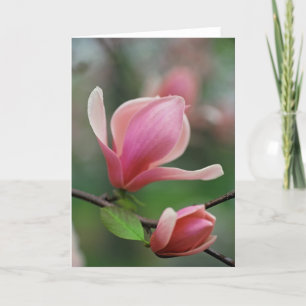 Cartão Shades of Spring Greeting Card