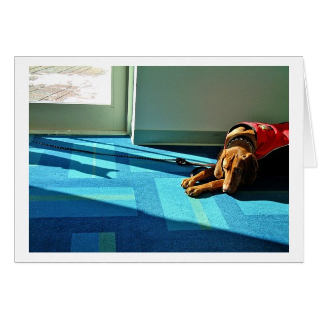 Cartão Shadowplay 2 (Frente Horizontal)