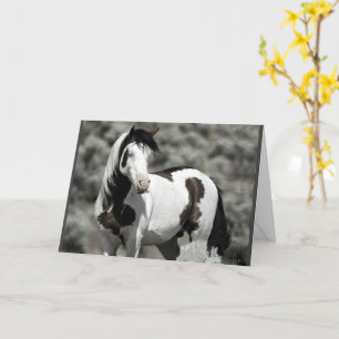 Cartão Shaman Folheto de Saudação