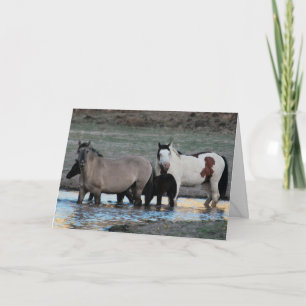 Cartão Shaman & Granite ~ Legend Greeting Card