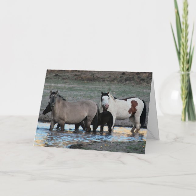 Cartão Shaman & Granite ~ Legend Greeting Card (Frente)