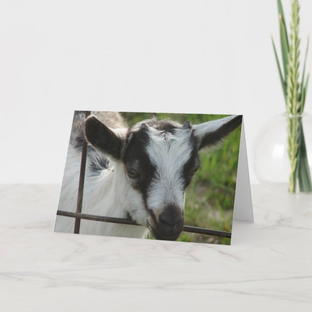 Cartão Shamrock (Frente)