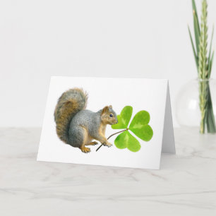 Cartão Shamrock Squirrel Card