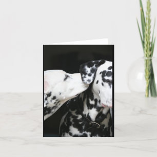 Cartão Sharing a Secret