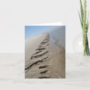 Cartão Shark Island North Carolina Outer Banks