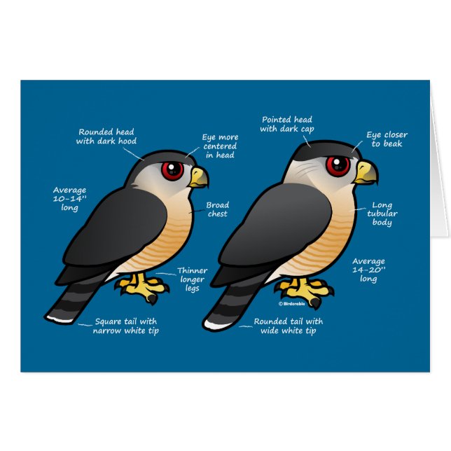 Cartão Sharpie da capoeira v (Frente Horizontal)