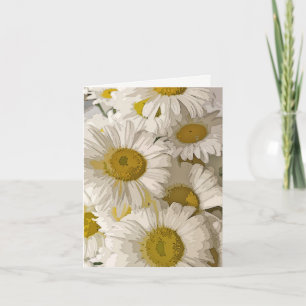 Cartão Shasta Daisies Blank Notecard